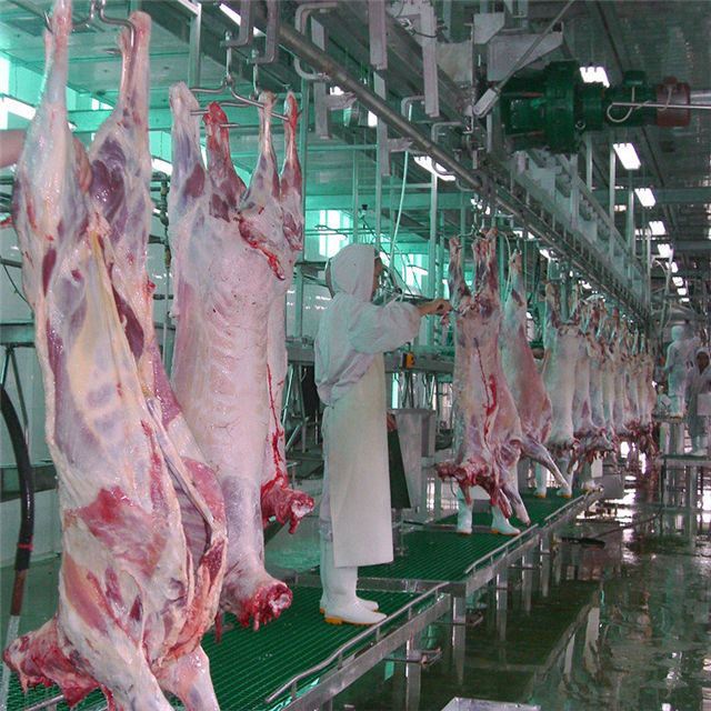 Sheep slaughter line equipment