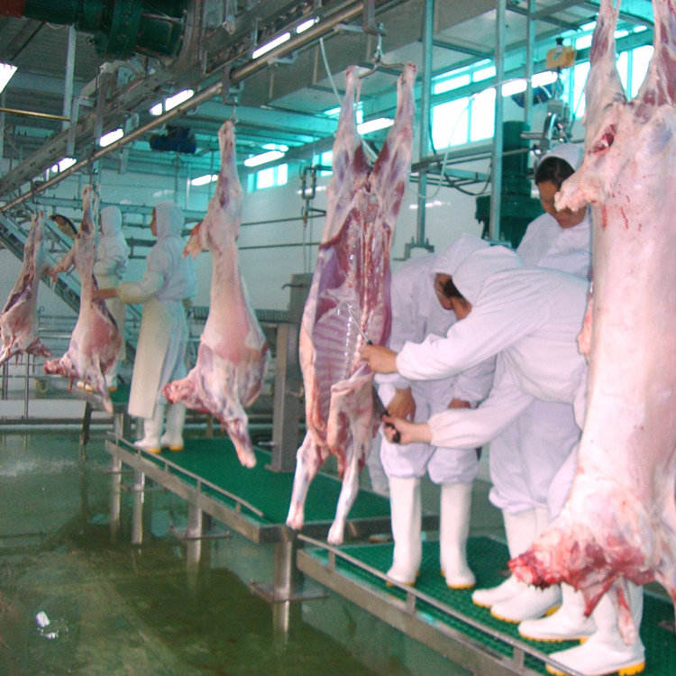 Halal sheep slaughterhouse machinery