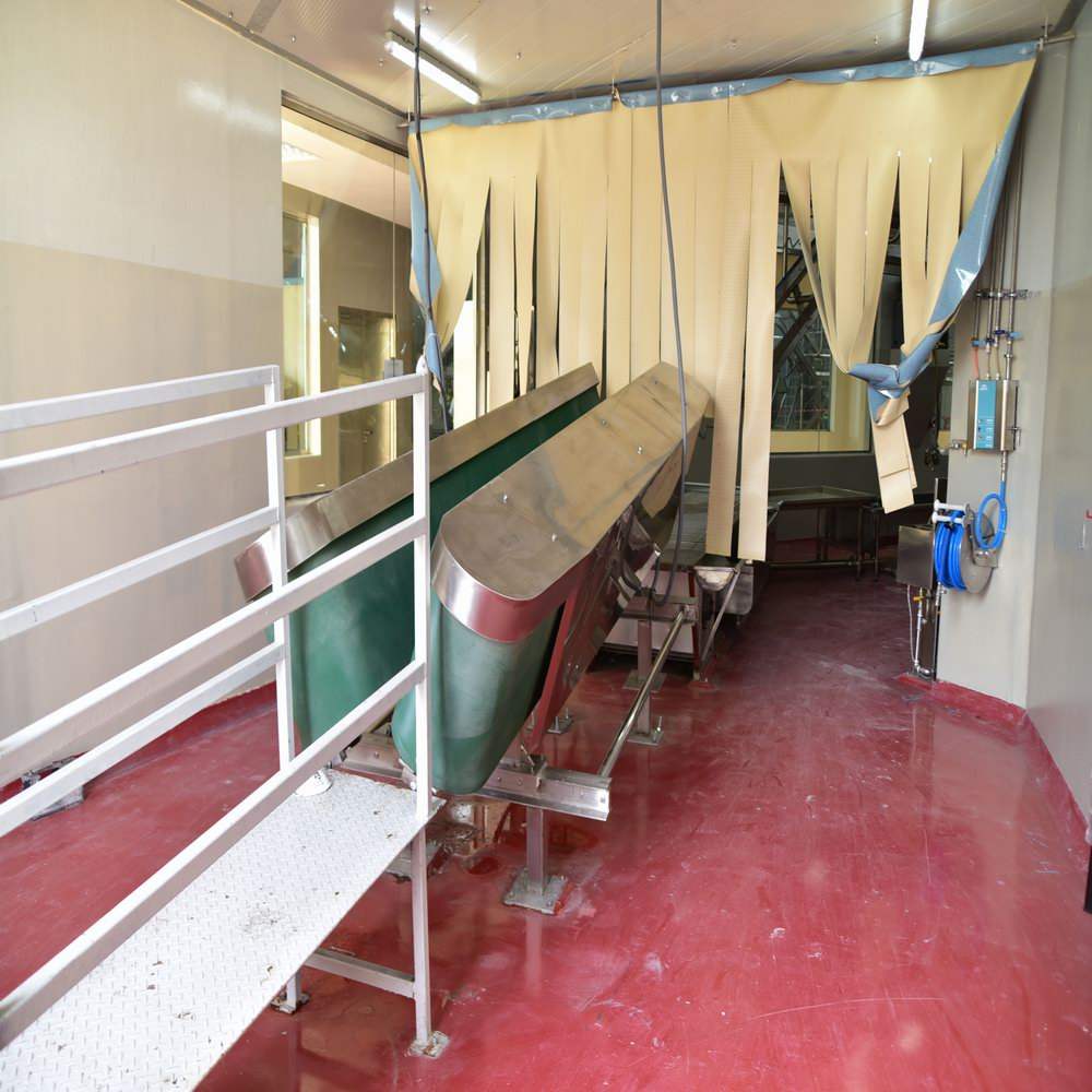 Ram slaughter line with cold room