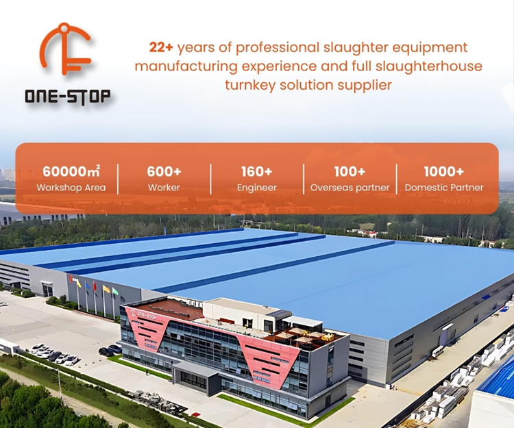Company Introduction